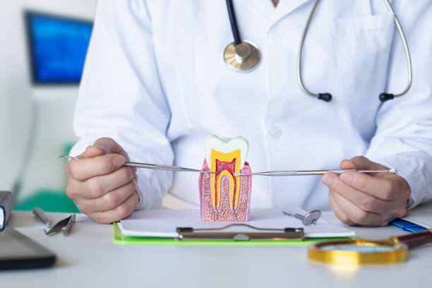 Best Chipped Tooth Repair Near Me  in St Vincent College, PA